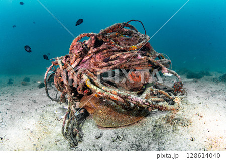Abandoned tangled rope of fishing net or ghost net cover on hard coral 128614040