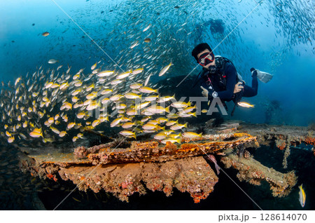 School of yellowstripe scad fish with male scuba diver swimming over HTMS Kledkaeo ship wreck 128614070