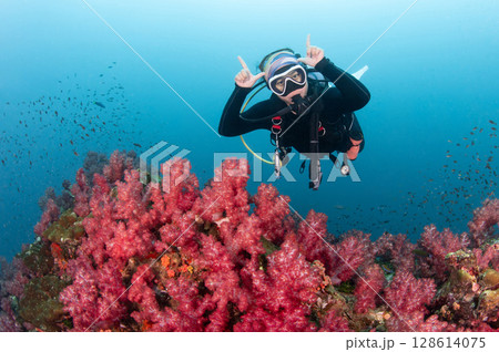 Asian female scuba diver diving over red soft coral reef at Hin Daeng, Thailand. 128614075