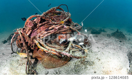 Abandoned tangled rope of fishing net or ghost net cover on hard coral 128614085