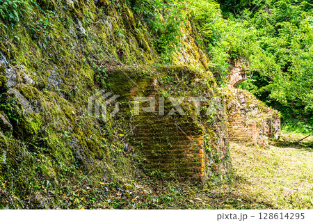 【世界遺産 石見銀山遺跡とその文化的景観】初夏の清水谷精錬所跡4 島根県大田市 【世界遺産 石見銀山遺跡とその文化的景観】初夏の清水谷精錬所跡4 島根県大田市 128614295