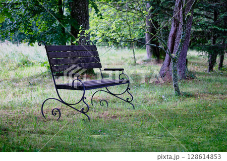 Bench surrounded by trees in a serene forest setting during early morning light 128614853