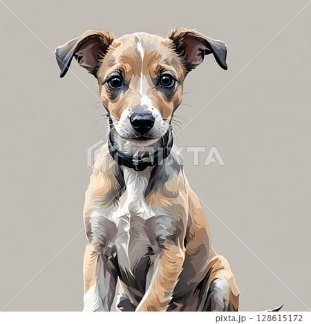 かわいくおすわりしたウィペット（Whippet）の子犬 128615172