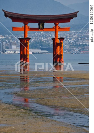 厳島神社の大鳥居 128615564