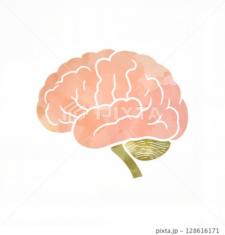 Colorful brain illustration in soft pastels on white background, creativity 128616171