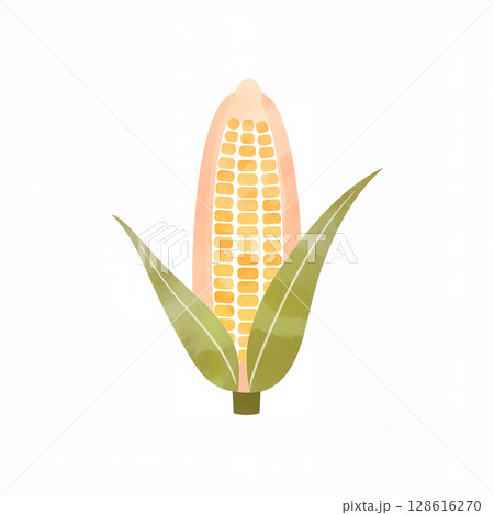 Pastel corn illustration on white background, nature's simplicity 128616270