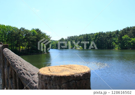 【青森県青森市】野木和公園の湖と空 128616502