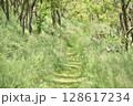 日和山の遊歩道（けものみち） 128617234