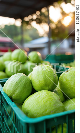 Fresh green guava fruit in plastic crate ready for export with processed agriculture products in market during sunset light Fresh green guava fruit in plastic crate ready for export with processed agriculture products in market during sunset light 128617403