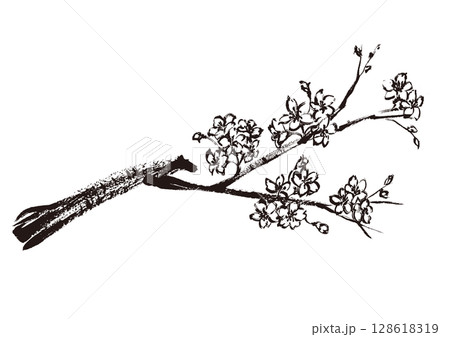 サクラの和風手書き筆イラスト　墨絵モノクロ 128618319