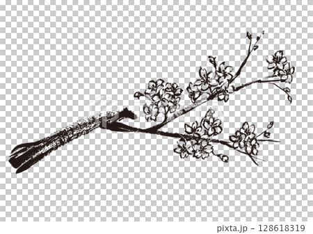 サクラの和風手書き筆イラスト　墨絵モノクロ 128618319