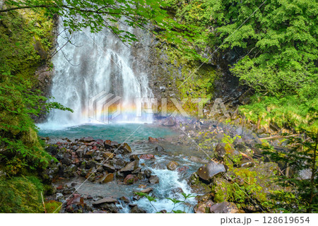 【善五郎の滝】滝壺に架かる虹【乗鞍高原】 【善五郎の滝】滝壺に架かる虹【乗鞍高原】 128619654