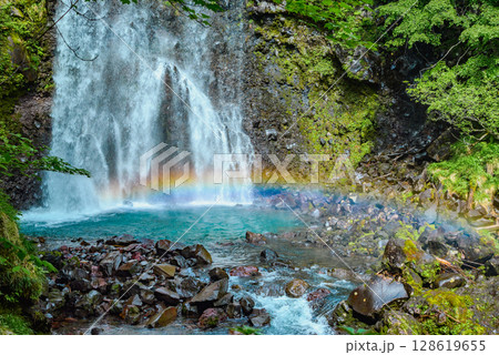 【善五郎の滝】滝壺に架かる虹【乗鞍高原】 128619655
