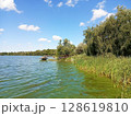 Summer bloom of water in the Dnieper River due to the proliferation of algae. Ukraine 128619810