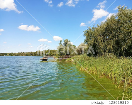 Summer bloom of water in the Dnieper River due to the proliferation of algae. Ukraine 128619810