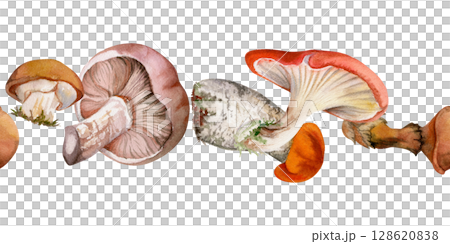 Bolete cep russula suillus mushroom fungi, autumn forest harvest, edible raw ingredient for vegan cooking. Seamless banner header hand drawn in watercolor. Menu list accents, farmers market wrapping Bolete cep russula suillus mushroom fungi, autumn forest harvest, edible raw ingredient for vegan cooking. Seamless banner header hand drawn in watercolor. Menu list accents, farmers market wrapping 128620838