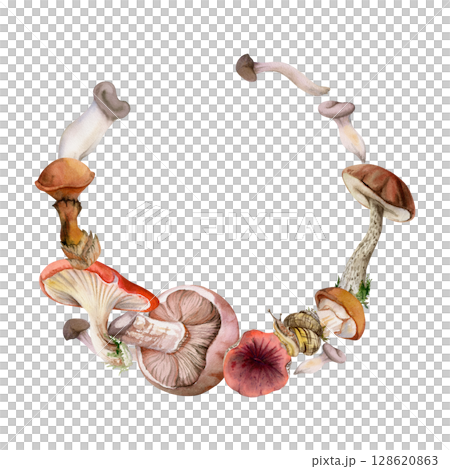 Bolete cep russula suillus oyster mushroom fungi. Wreath frame hand drawn in watercolor. Autumn forest harvest, edible raw ingredient for vegan cooking. Label tag menu recipe cards, stationery accent 128620863