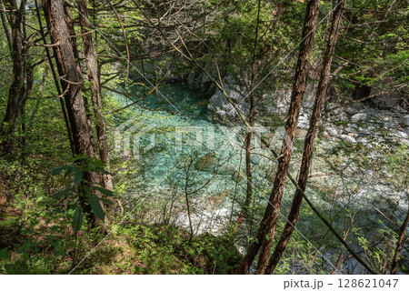 長野阿寺渓谷のトレッキング 128621047
