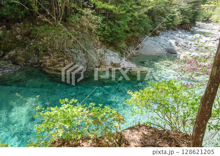 長野阿寺渓谷のトレッキング 128621205