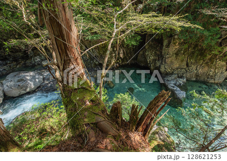 長野阿寺渓谷のトレッキング 128621253