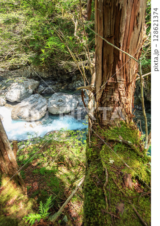 長野阿寺渓谷のトレッキング 128621374