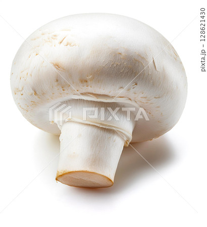 ホワイトマッシュルームと白い背景 128621430