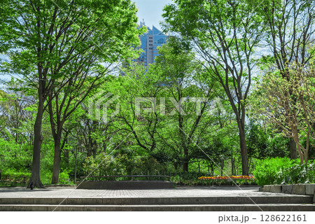 西新宿 都会のオアシス 新宿中央公園の春景色(東京) 西新宿 都会のオアシス 新宿中央公園の春景色(東京) 128622161