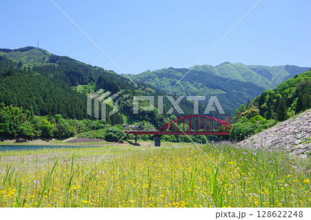 愛媛県四国中央市　金砂湖畔公園 128622248