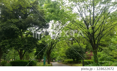 上野公園 128622672