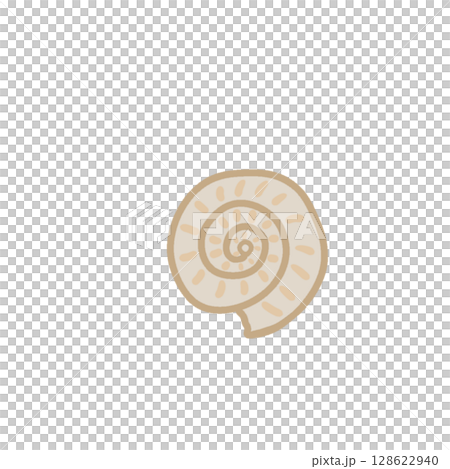 Ammonite fossil simple 128622940