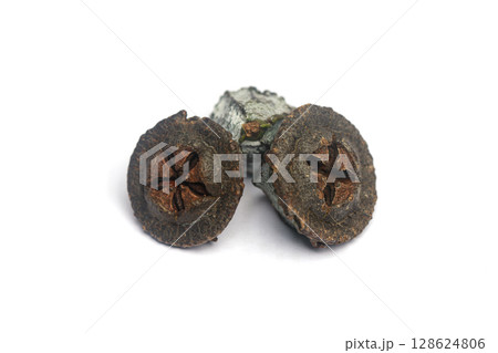 Isolated eucalyptus fruits gumnuts on white background 128624806