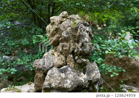 Natural Moss-Covered Rock Formation in a Lush Forest Garden with Serene Green Foliage Background 128624959