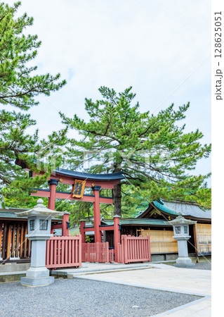 初夏の氣比神宮　福井県敦賀市 128625051