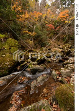 三重県 名張市 赤目四十八滝 三重県 名張市 赤目四十八滝 128625596