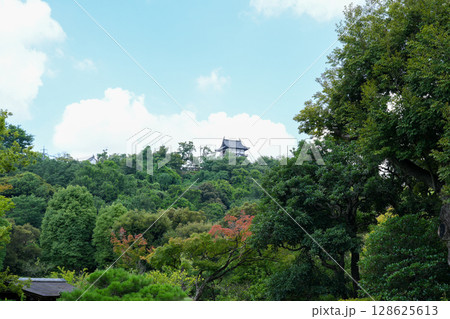 犬山氏にある日本庭園・有楽苑(国宝茶室・如庵) 犬山氏にある日本庭園・有楽苑(国宝茶室・如庵) 128625613