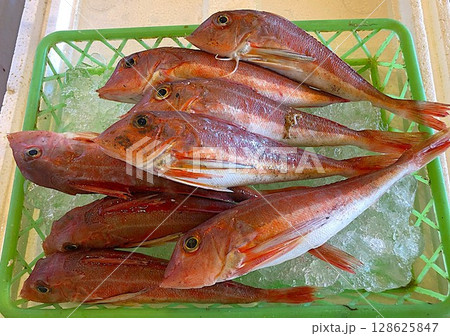 日本の魚市場に並ぶ新鮮な魚 日本の魚市場に並ぶ新鮮な魚 128625847