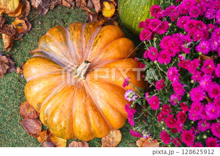 Large orange pumpkin and vibrant pink flowers on grass with dry leaves, autumn and Halloween scene 128625912