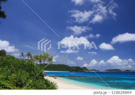 座間味島、古座間味ビーチ 夏風景 座間味島、古座間味ビーチ 夏風景 128626664