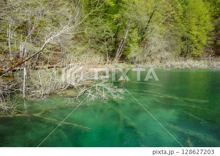 spectacular waterfalls and lakes of Plitvice Lakes National Park, in Croatia 128627203