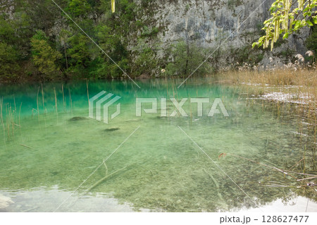 splendid green lake in Plitvice Lakes National Park. Waterfalls, lakes and flora in Croatia 128627477