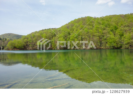 spectacular waterfalls and lakes of Plitvice Lakes National Park, in Croatia 128627939