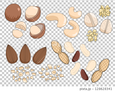 堅果插圖集 128628341
