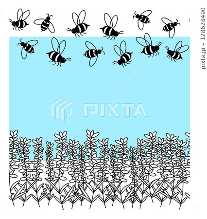 Black line lavender flower with bees Horizontal seamless border frame template. Vector graphic line illustration. Cute provance Vintage retro sketch element for labels, packaging, textile Black line lavender flower with bees Horizontal seamless border frame template. Vector graphic line illustration. Cute provance Vintage retro sketch element for labels, packaging, textile 128628490