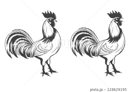 Rooster Vector Illustration. Vintage Rooster Sketch, Rooster Icon Isolated on White Background. Rustic Farm Animal Silhouette, Rooster Graphic for Farm Logo, Hand Drawn Poultry, Chicken Illustration Rooster Vector Illustration. Vintage Rooster Sketch, Rooster Icon Isolated on White Background. Rustic Farm Animal Silhouette, Rooster Graphic for Farm Logo, Hand Drawn Poultry, Chicken Illustration 128629195