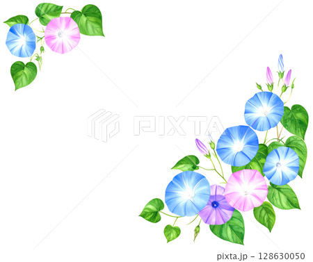 水彩画の朝顔のイラストのフレーム 128630050