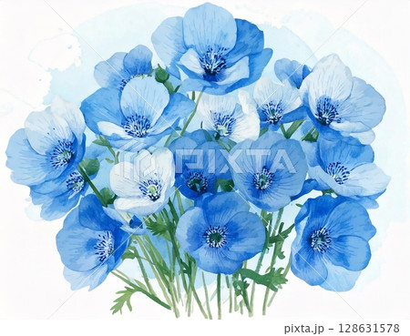 ネモフィラ 128631578