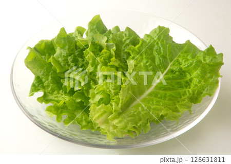 サンチュ サンチュ 128631811