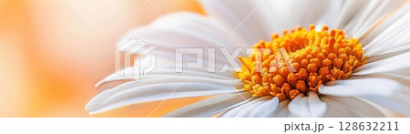 Detailed watercolor daisy with vibrant yellow center and white petals, isolated on white background, close-up view, bold and striking Detailed watercolor daisy with vibrant yellow center and white petals, isolated on white background, close-up view, bold and striking 128632211