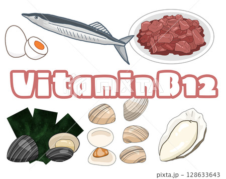 ビタミンB12のイメージイラスト(背景なし)(英字) ビタミンB12のイメージイラスト(背景なし)(英字) 128633643