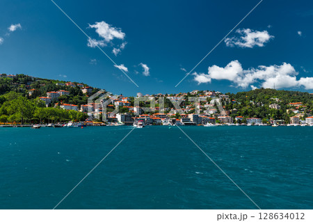Beautiful Istanbul cityscape view from cruise sailing to Bosphorus,Turkey Beautiful Istanbul cityscape view from cruise sailing to Bosphorus,Turkey 128634012